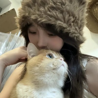 天网狼蛛