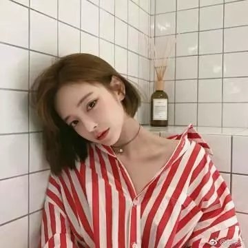 芝加哥警署第八季